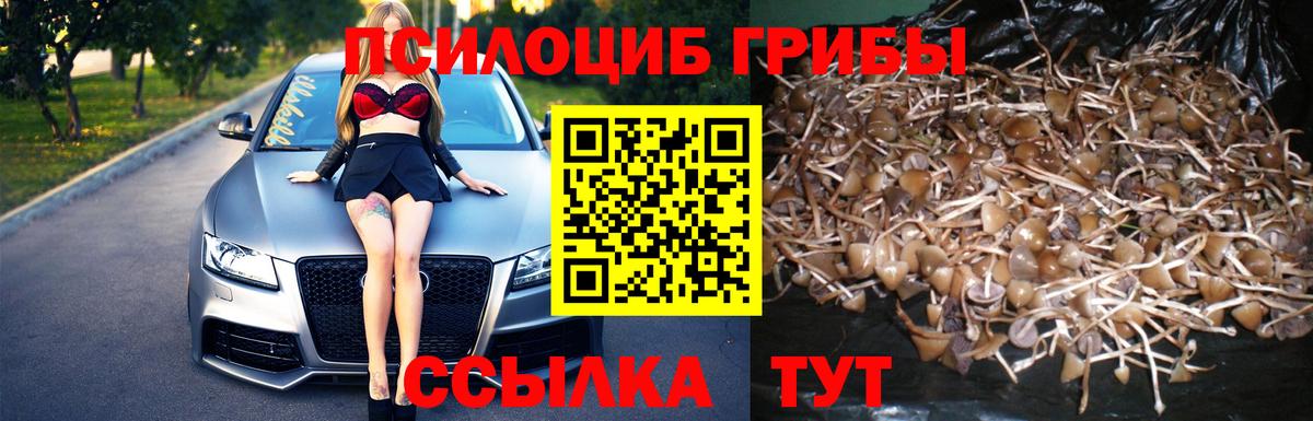 Псилоцибиновые грибы мицелий Грязи