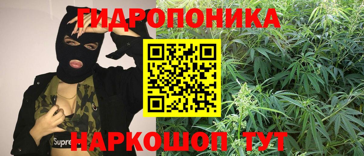 Бошки Шишки индика Грязи